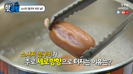 소시지 옆구리 터진 날