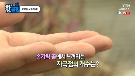 감각을 사수하라!