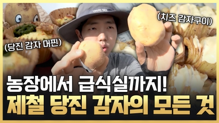 나랑 같이 당진 감자 캘래?