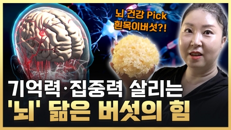 뇌 건강 골든타임 지킬 기적의 비밀