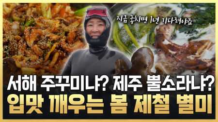 봄의 보물 바다 제철 전령사를 만나다!