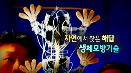 자연에서 찾은 해답 - 생체모방기술