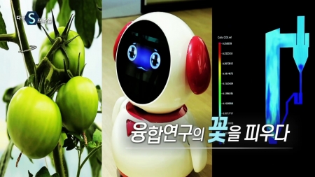 융합연구의 꽃을 피우다