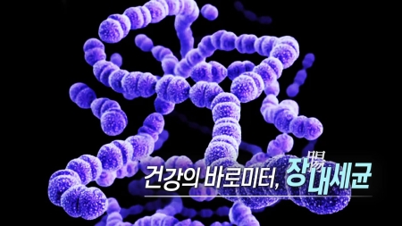 건강의 바로미터, 장(腸)내세균