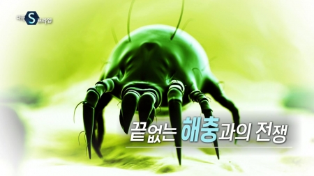 끝없는 해충과의 전쟁
