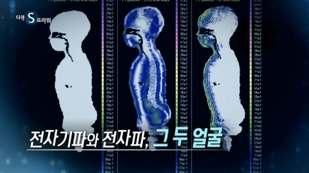 전자기파와 전자파, 그 두 얼굴