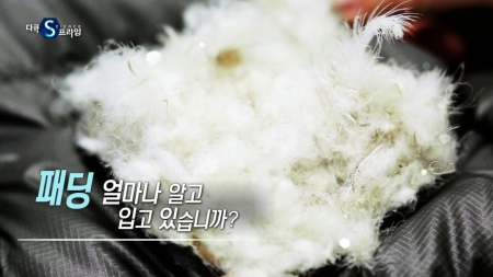 패딩, 얼마나 알고 입고 있습니까?