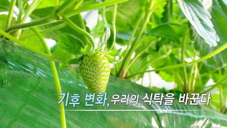 기후변화, 우리의 식탁을 바꾼다