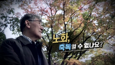 노화, 축복일 수 없나요?