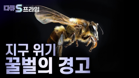 지구 위기, 꿀벌의 경고