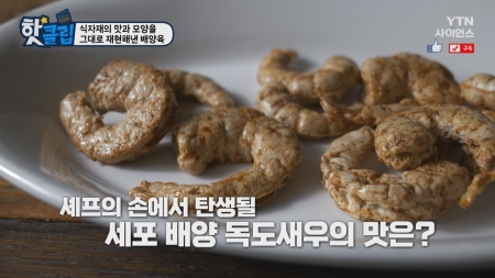 식자재의 맛과 모양을 그대로 재현해낸 배양육