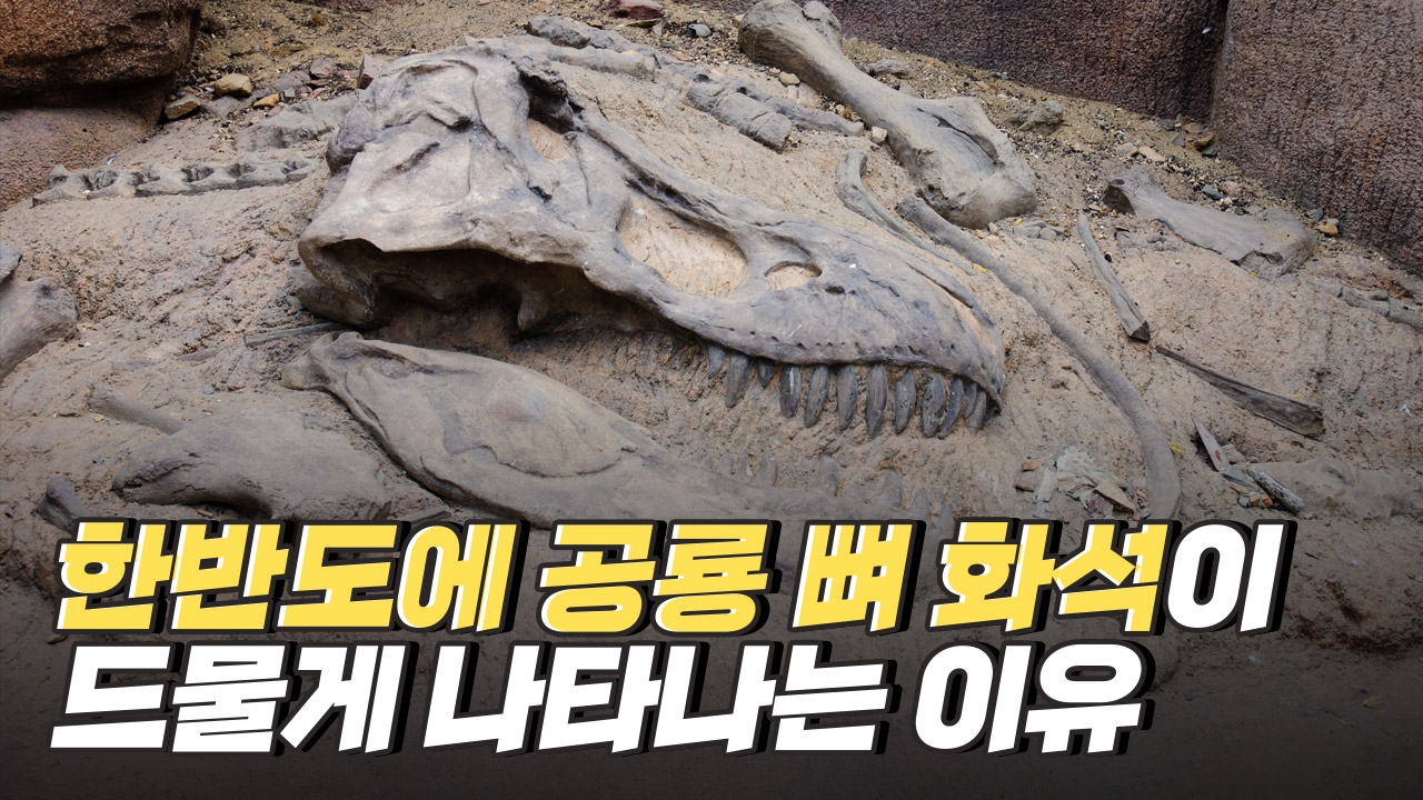 한반도에 공룡 뼈 화석이 드물게 나타나는 이유