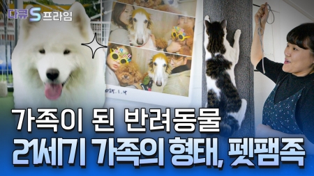 멍냥이네 행복 보고서