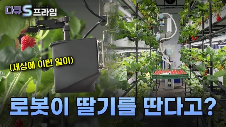 스마트 팜, 스마트 라이프