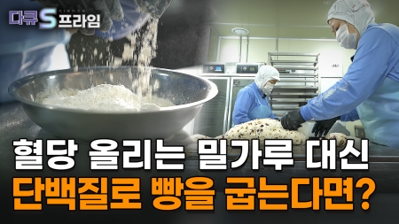 맛의 과학 – 당의 유혹 넘어서기