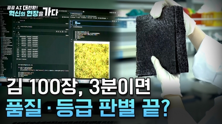 [공공 AI 대전환! 혁신의 현장을 가다] 김 산업의 반격, 품질 평가의 기준을 다시 쓰다