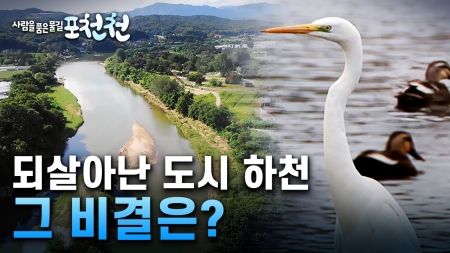 [특집] 사람을 품은 물길, 포천천