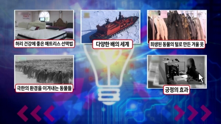 허리 건강에 좋은 매트리스 고르는 법