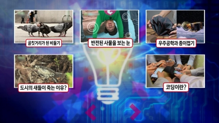 평화의 상징 비둘기는 왜 골칫거리가 됐나?