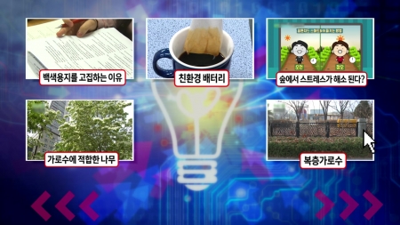 재생용지 보다 백색용지를 고집하는 이유?