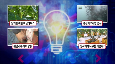 기후변화에 상관없이 딸기를 키울 수 있는 기술