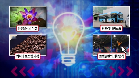 다양한 식생을 한눈에 볼 수 있는 신천습지