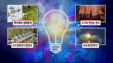 남방계, 북방계 식물이 한 곳에?