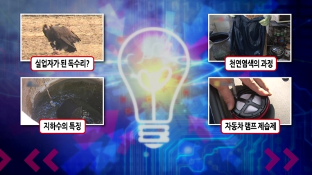 실업자가 된 청소부, 독수리