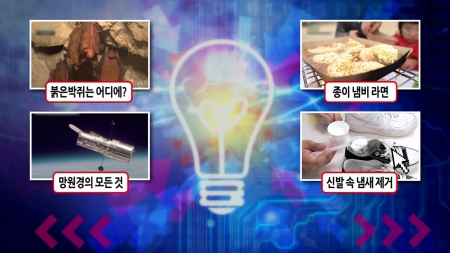 붉은박쥐는 어디에 살고 있을까?