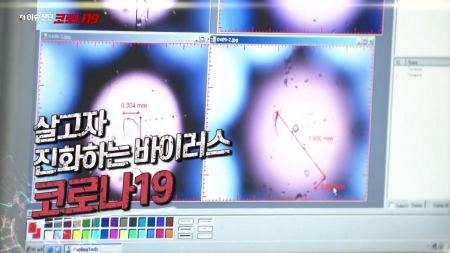 13회 재감염의 경고 코로나발 3차 세계대전