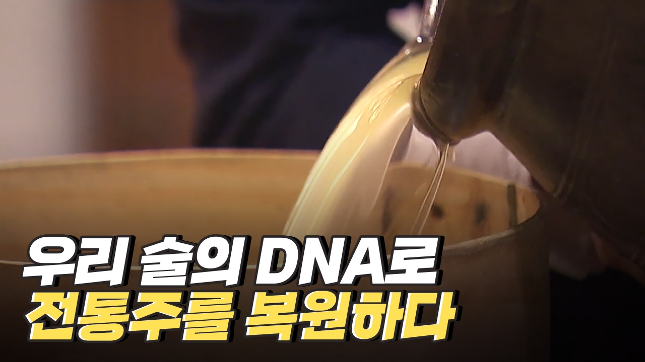 우리 술의 DNA로 전통주를 복원하다