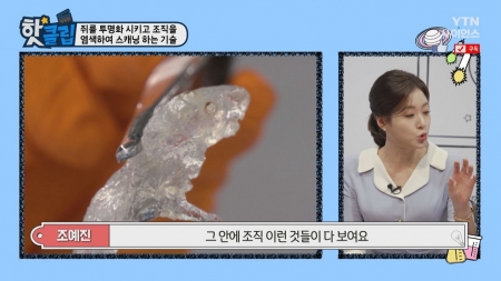 쥐를 투명화 시키고 조직을 염색하여 스캐닝 하는 기술