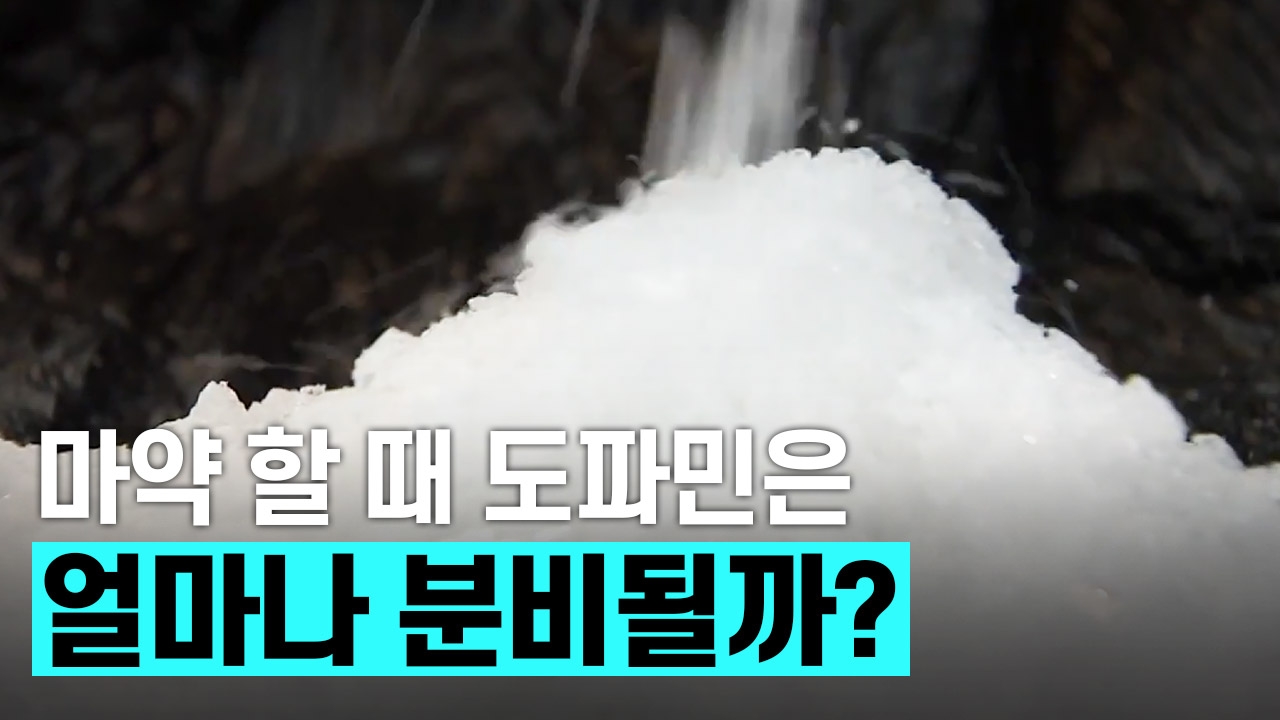 도파민 - 마약을 끊을 수 없는 이유
