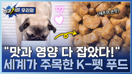 정직한 재료와 과학으로 만든다! 셰프가 완성하는 K-펫 푸드