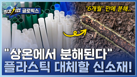상온에서 6개월 만에 분해! 생분해 플라스틱 신소재