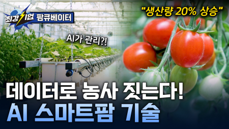 스마트팜에 데이터를 더하다! AI 스마트팜 기술