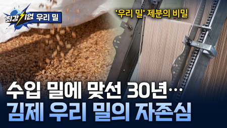 우리 땅에서 나고 자란 우리 밀