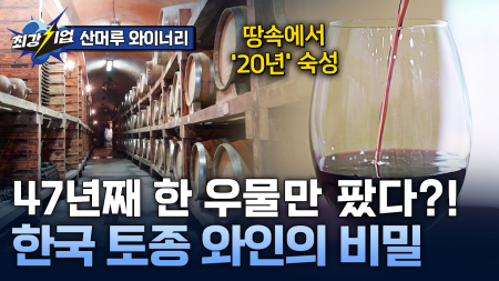 대를 이어 숙성된 산머루 와인